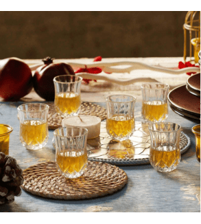 RCR Opera Tumbler/Shotglas 6 cl - Doos 6 stuks - 123Glaswerk