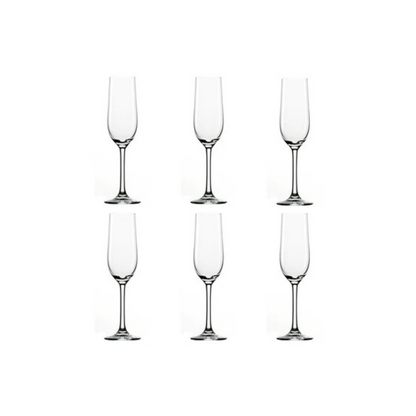 Stolzle Classic Champagneglas 19 cl - Doos 6 stuks
