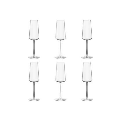 Stolzle Power Champagneglas 24 cl - Doos6 stuks