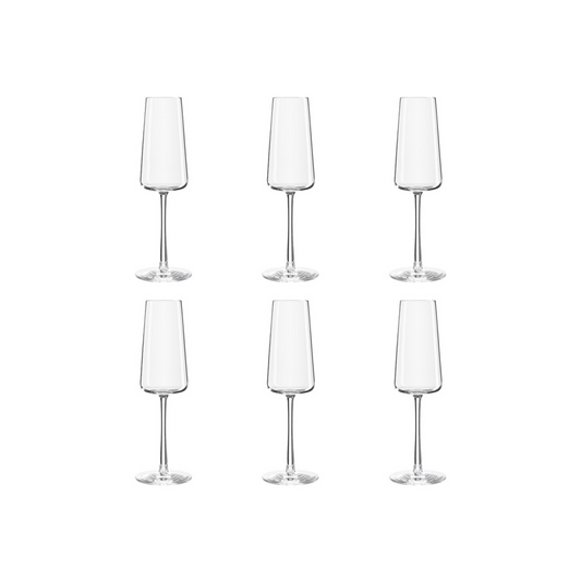 Stolzle Power Champagneglas 24 cl - Doos6 stuks