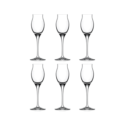 RCR Invino Likeurglas 10 cl - Doos 6 stuks - 123Glaswerk