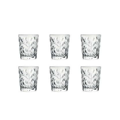RCR Laurus Shotglas 6 cl - Doos 6 stuks - 123Glaswerk