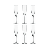 Schott Zwiesel Ever (Classico) Champagneglas 21 cl - Doos 6 stuks - 123Glaswerk